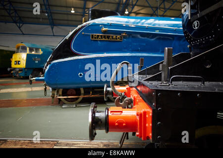 Mallard on display in the great hall National Railway Museum in York Yorkshire UK Stock Photo