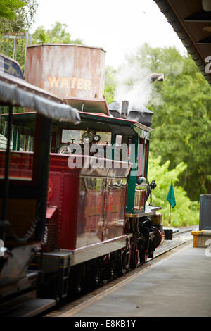 Florida USA Disneyland The Disneyland Railroad currently has five 3 ft (914 mm) narrow gauge steam locomotives Stock Photo