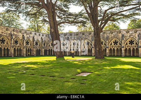 Salisbury Cathedral, Cloister; Kreuzgang der Kathedrale von Salisbury Stock Photo