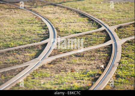 Overgrown streetcar rail tracks in Zurich, Switzerland Stock Photo