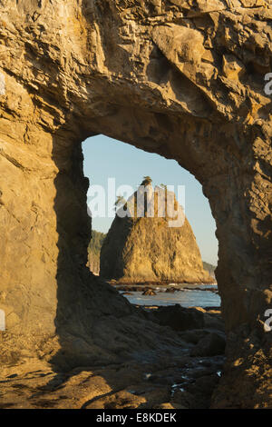 View of Sea Stack through Hole-in-the-Wall natural arch, Rialto Beach, Olympic National Park, Washington Stock Photo