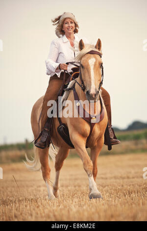 Western rider on Criollo, Palomino with blaze, gelding, gallopping on a stubble field Stock Photo