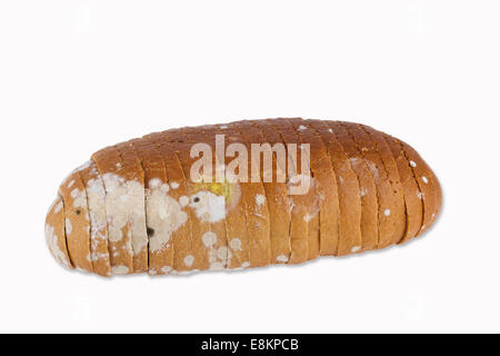 Moldy sliced bread loaf over a white background. Stock Photo