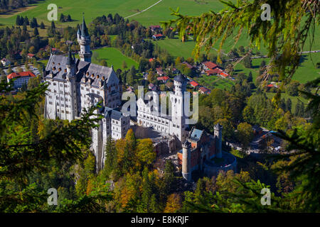 FUSSEN, GERMANY - October 09:  Schloss Neuschwanstein, a castle in Fussen Germany, on the 09 October 2014 (Photo by Mitchell Gun Stock Photo