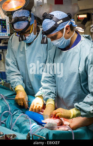 Recepcion Rfa Royal Navy Medical Staff at work onboard RFA Argus, the Royal Navy's ...