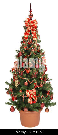 Christmas tree decorated with red ornament Stock Photo