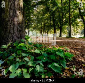 The Walls of Ferrara (in italian Le Mura) in Italy Stock Photo