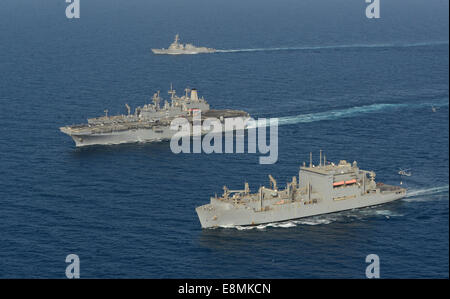 Arabian Gulf, July 28, 2014 - The Military Sealift Command dry cargo and ammunition ship USNS Robert E. Peary (T-AKE 5), right, Stock Photo