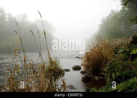 Gainford, County Durham, UK. 11th October 2014. Mist and Fog along the upper reaches of the River Tees in County Durham. The mist and fog is expected to clear during Saturday but further mist and fog is forecast for Sunday morning for many areas of the North East. Credit:  Robert Smith/Alamy Live News Stock Photo