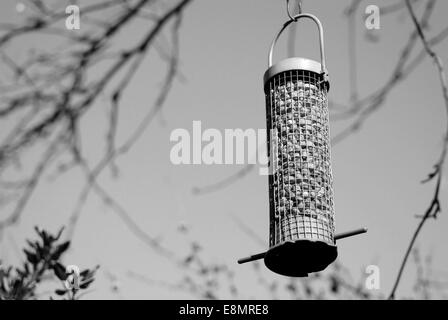 Bird feeder full of peanuts hanging from a tree branch - monochrome processing Stock Photo