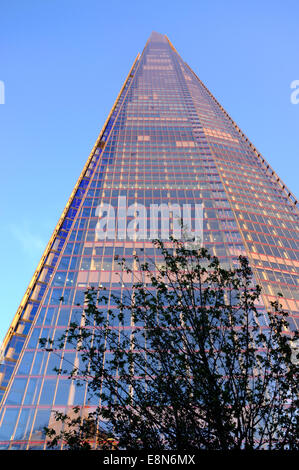 The Shard building in London reflects the pink sunset golden hour glow against a blue sky at dusk Stock Photo