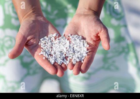 Natural white marble stones texture. Quartz pebble beach in Is Arutas beach in Sardinia. Quartz pebbles of small stones texture Stock Photo