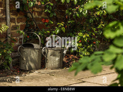 Two metal watering cans side by side on a stone slab path, under a lush green bush in a sunny garden Stock Photo
