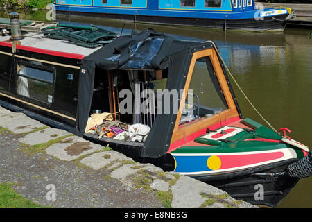 A dog on a narrowboat moored at Pewsey Wharf, Kennet and Avon Canal, Wiltshire, England. Stock Photo