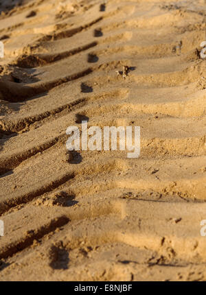 deep clear trail left by the tractor on the sand on a sunny autumn day Stock Photo