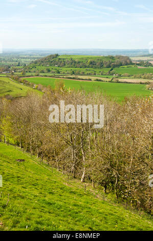 Cadbury Castle with Glastonbury Tor in the distance Stock Photo