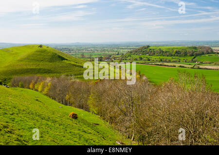 Cadbury Castle with Glastonbury Tor in the distance Stock Photo