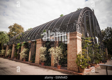 Botanic Garden, Valencia, Spain. Stock Photo