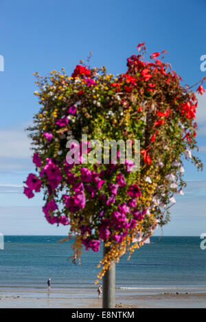 Holidaymakers paddle in the sea whilst a colourful street flower and plant arrangement covers the foreground. Stock Photo