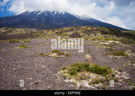Path of desolation, Osorno Volcano, Chile, South America. Stock Photo