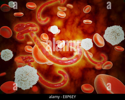 Conceptual image of the ebola virus with blood cells Stock Photo - Alamy