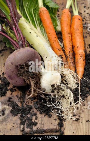 Freshly harvested vegetables from the garden and placed on a plank Stock Photo