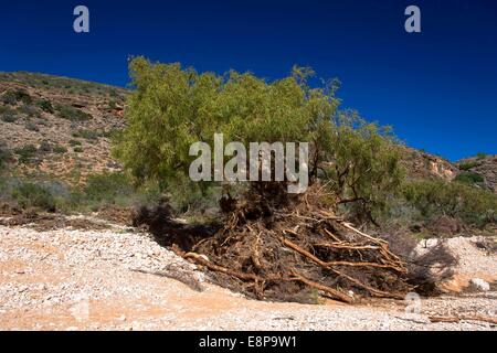 Mandu mandu gorge in Cape Range National Park Stock Photo