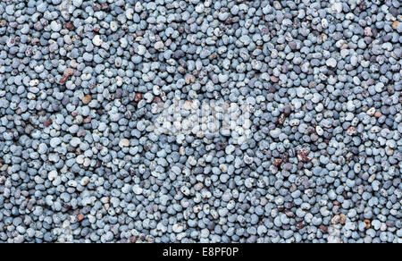 Poppyseed Background or Texture (detailed close-up shot Stock Photo - Alamy