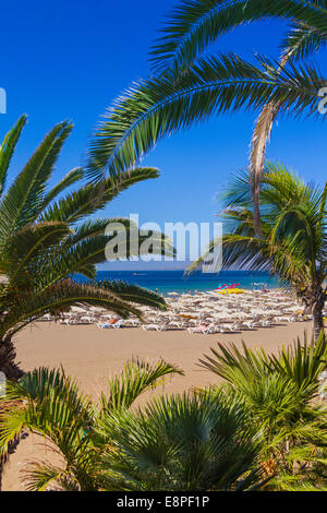 Puerto del Carmen in Lanzarote: Playa Grande beach Stock Photo