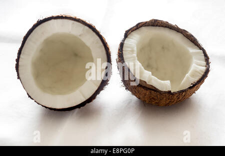 Coconut cut in half on white background Stock Photo