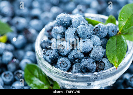 Heap of fresh harvested Blueberries (with water drops) Stock Photo