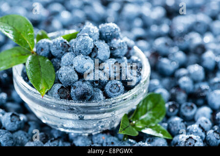 Heap of fresh harvested Blueberries (with water drops)