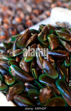 Oysters, mussels and scallops on asian market Stock Photo