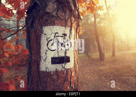Sign bike path in the misty autumn colored forest Stock Photo