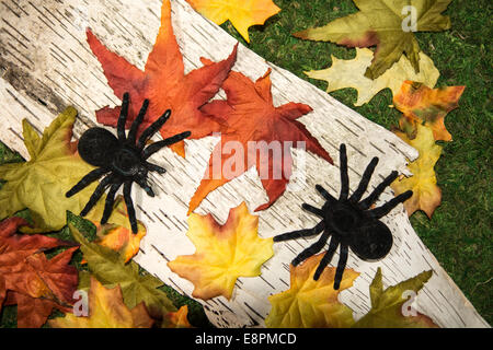 Fall Leaves and Spiders Stock Photo