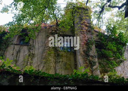 chimney at one overgrown with wine old rundown house Stock Photo