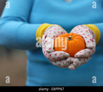 Woman wearing gloves holding orange pumpkin in her hands Stock Photo