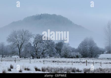 With snow on the ground, mist hangs between trees in fields near to Pooley Bridge in the Lake District. Stock Photo