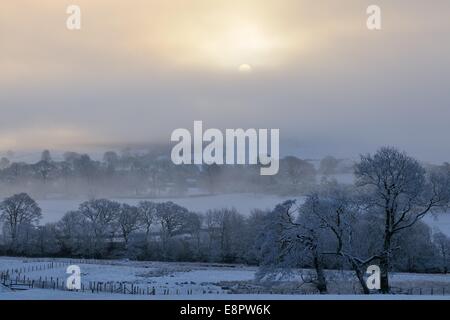 With snow on the ground, mist hangs between trees in fields near to Pooley Bridge in the Lake District as the sun rises. Stock Photo