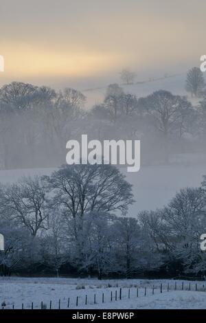 With snow on the ground, mist hangs between trees in fields near to Pooley Bridge in the Lake District just before sunrise. Stock Photo
