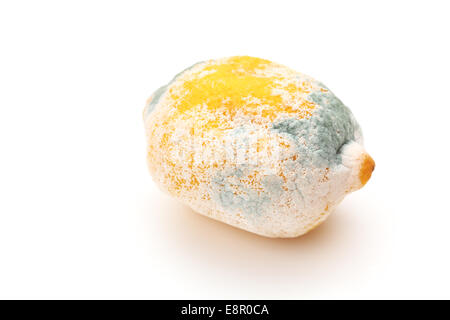 Lemon fruit with mould on white background. Stock Photo