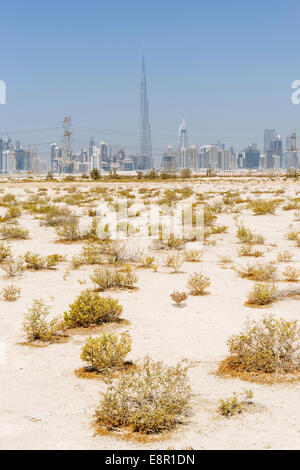 Skyline of skyscrapers and Burj Khalifa from the desert in Dubai United Arab Emirates Stock Photo