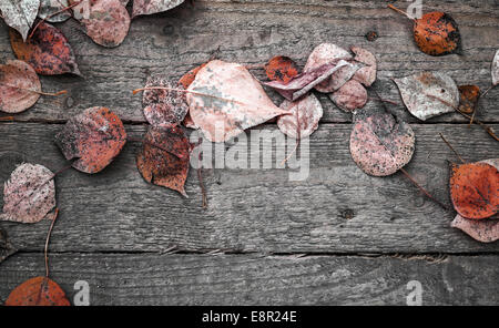 Background texture with old wooden table and red autumnal leaves Stock Photo