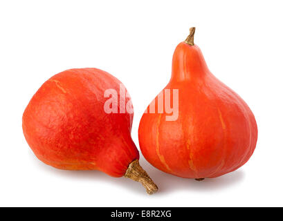 Red kuri squashes isolated on white background Stock Photo