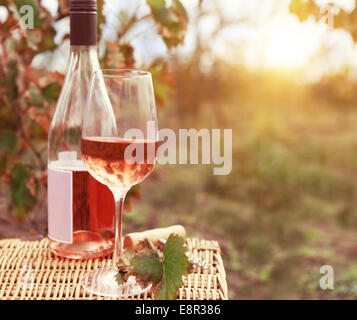 One glass and bottle of the rose wine in autumn vineyard. Harvest time Stock Photo
