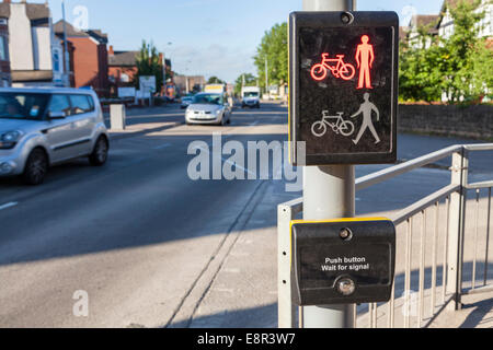 Toucan pedestrian crossing with the sign at red with a car approaching ...