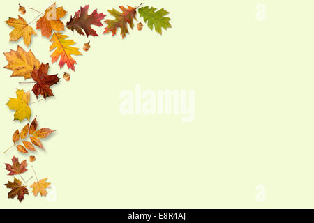 A frame made with autumn leaves isolated on light green background Stock Photo