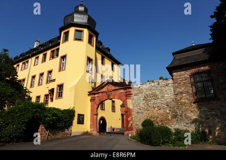 The Schloss Vollrads wine estate in Oestrich-Winkel, Germany. Stock Photo