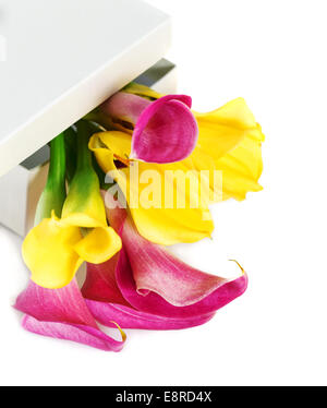 Bunch of yellow and pink cala lilies in the box Stock Photo