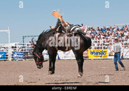 Cowboy, saddle bronc riding, Strathmore Heritage Days, Rodeo, Strathmore, Alberta, Canada Stock Photo